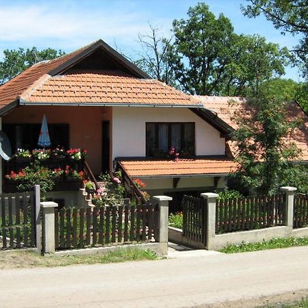 Apartments Zlatiborski Gajevi Экстерьер фото