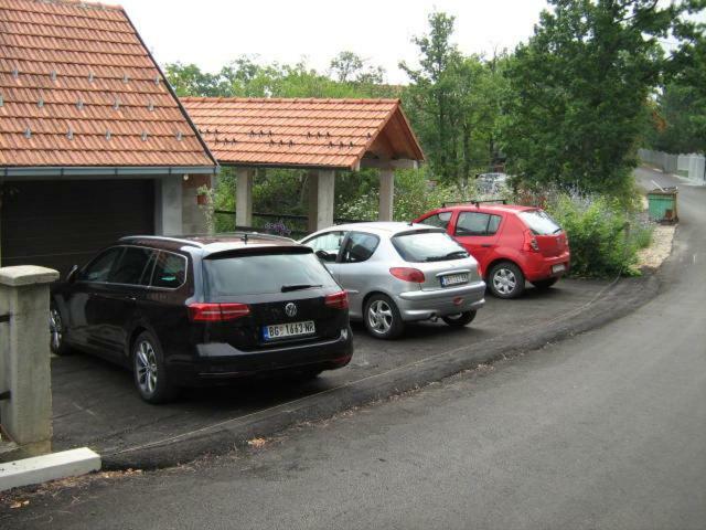 Apartments Zlatiborski Gajevi Экстерьер фото